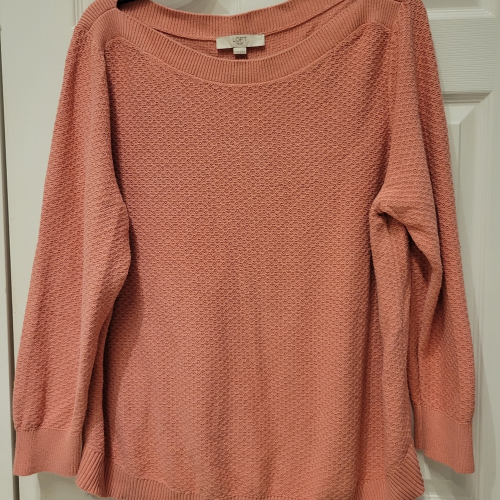 LOFT Plus Sweater